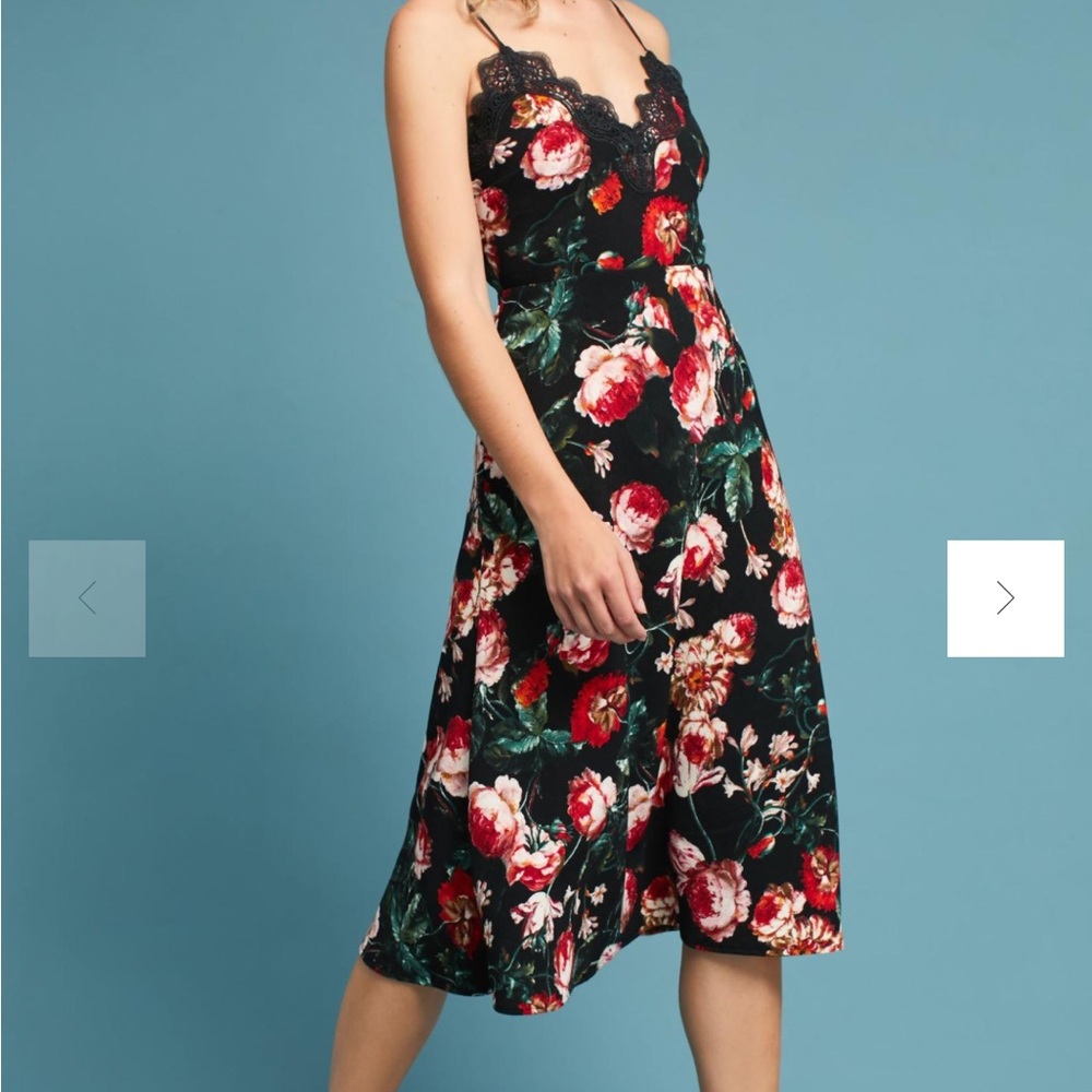 Autumnal Slip Dress Anthropologie FoxieDox NWT Medium